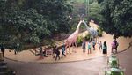 Kebun Binatang yang Tak Biasa di Batu