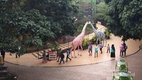 Suasana di dalam Batu Secret Zoo