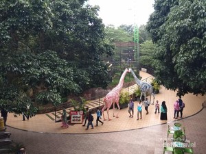 Kebun Binatang yang Tak Biasa di Batu