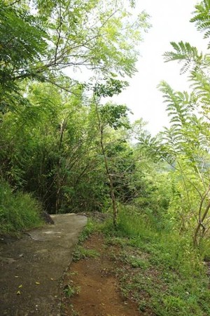 Kebun Buah di Bantul Punya Sungai Seindah Ini