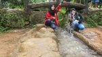 Kebun Teh yang Sejuk Buat Wisata Keluarga di Jateng