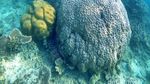Kecantikan Bawah Laut Pulau Tunda