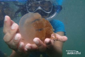 Kecantikan Derawan Tak Terbantahkan
