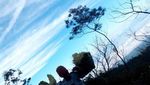 Kecantikan Kawah Ijen dan Blue Fire di Banyuwangi