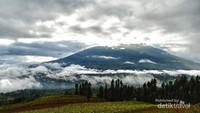 Cuaca Berawan Menghalangi Pesona Gunung Sumbing