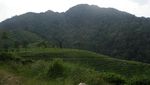 Kecantikan Tersembunyi di Lereng Gunung Ungaran