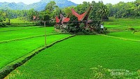 Rumah adat/Tongkonan
