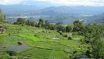 Kecantikan Toraja Utara yang Jarang Orang Tahu