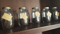 deretan - deretan biji kopi khas Indonesia