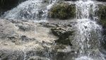 Kedung Dawa, Sungai Bertingkat yang Unik di Hutan Kebumen