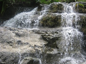 Kedung Dawa, Sungai Bertingkat yang Unik di Hutan Kebumen