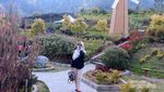 Keelokan Merapi Garden di Kaki Gunung Merbabu
