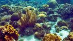 Kehabisan Kata-kata di 5 Surga Diving di Indonesia Ini