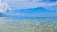 Pantai dekat Danau Ubur-ubur (dok. Bagus Sangaji Riwanto/ACI)