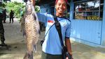 Keindahan Alam Pedalaman Sungai Mahakam