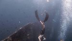 Keindahan Bawah Laut Bali Itu Ada di Tulamben