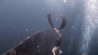 Pemandangan ikan-ikan dan coral yang menempel pada bangkai kapal