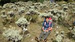 Keindahan Bunga Abadi di Alun-alun Surya Kencana