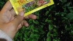 Keindahan Danau Toba dari Bukit Simarjarunjung
