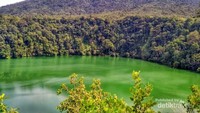 Wahh cantik dan adem kesan pertama melihat danau yang hijau pekat ini.