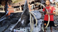 Warga Kota Kupang saat bertamasyah ke Lamalera, Lembata. Tampak tuluang rusuk Ikan Paus sedang dipegang oleh Santo, bocah kelas 5 SDK St Yoseph Kupang.