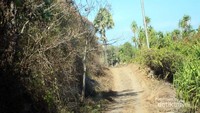 Jalan menuju Lamalera