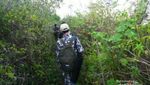 Keindahan Gunung Kerenceng yang Belum Terjamah