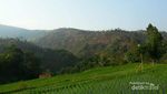Keindahan Gunung Kerenceng yang Belum Terjamah