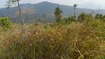 Keindahan Gunung Kerenceng yang Belum Terjamah