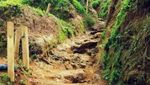 Keindahan Gunung Prau yang Tertutup Kabut