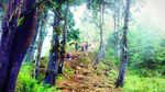 Keindahan Gunung Prau yang Tertutup Kabut