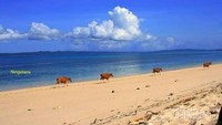 Pantai yang damai