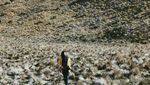 Keindahan Merbabu Memang Tak Ada Duanya