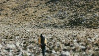 Sabana Merbabu yang memanjakan mata