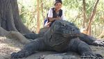 Keindahan Pulau Komodo yang Magis