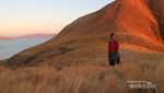 Keindahan Pulau Komodo yang Magis