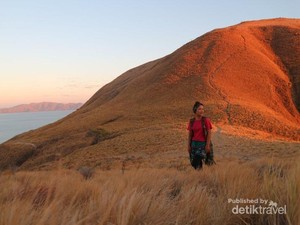 Keindahan Pulau Komodo yang Magis