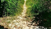 Sisi Lain Pulau Jodoh