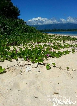 Keindahan Sawai di Maluku yang Masih Tersembunyi