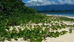 Keindahan Sawai di Maluku yang Masih Tersembunyi