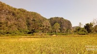 Desa Berau