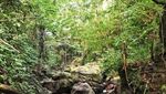 Keindahan Tersembunyi Air Terjun Batu Merah