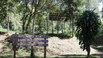 Keindahan Tersembunyi di Taman Nasional Gunung Ciremai