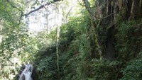 Curug Putri