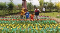 Kincir angin lengkap dengan bunga tulipnya.