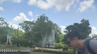 SALAH SATU PENGUNJUNG SEDANG MEMBERI MAKAN BURUNG DI SEKITAR PATUNG LIBERTY, NEW YORK, USA
