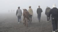 Padang pasir Bromo
