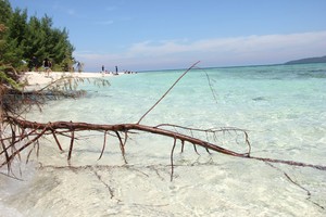 Keliling Karimunjawa, Siap-siap Jatuh Cinta