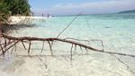 Keliling Karimunjawa, Siap-siap Jatuh Cinta