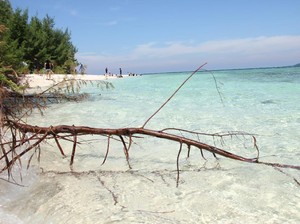 Keliling Karimunjawa, Siap-siap Jatuh Cinta